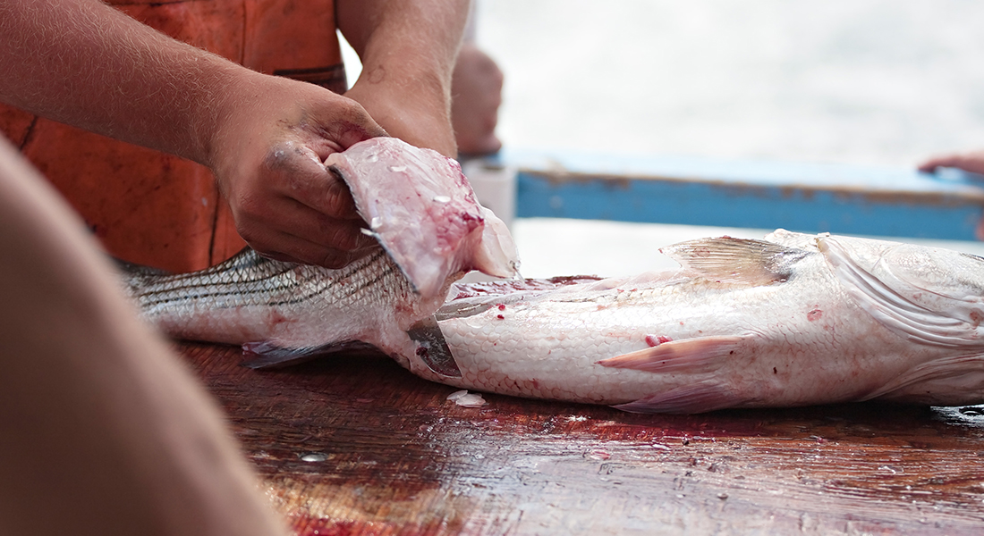 PCBs in the Environment