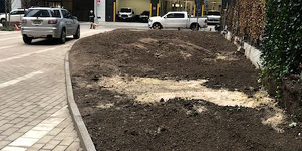 restored landscaping