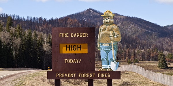 Smokey Bear