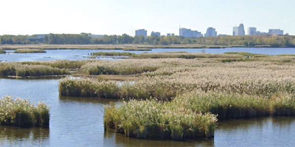 NJ wetlands