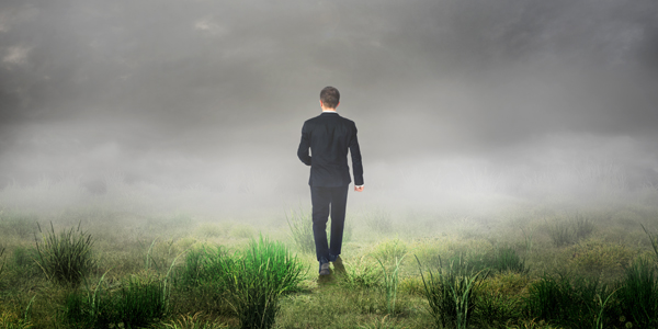 Phase II site investigation