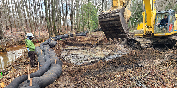 wetlands remediation